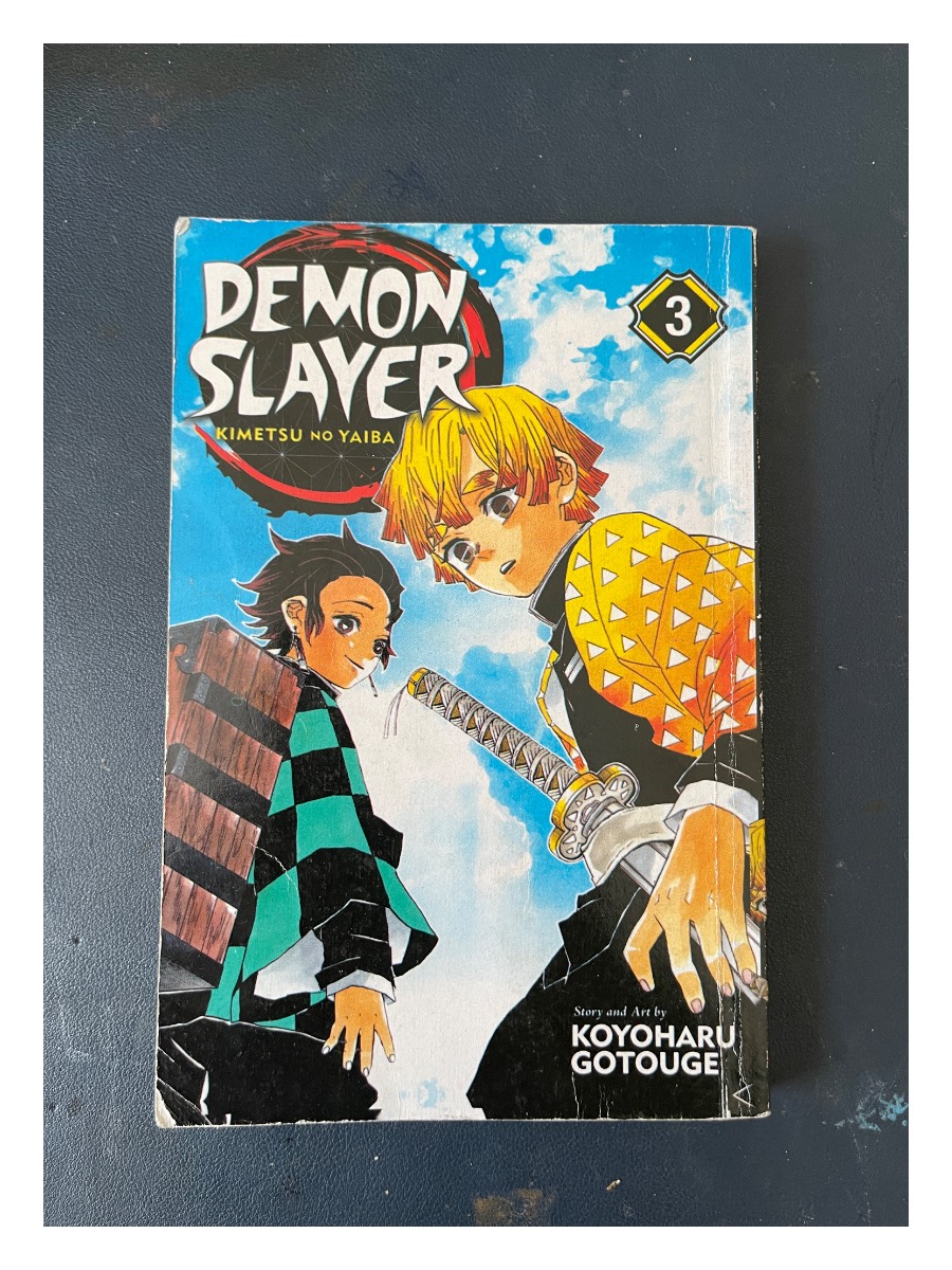 Demon Slayer Kimetsu no Yaiba Volume 3 book cover