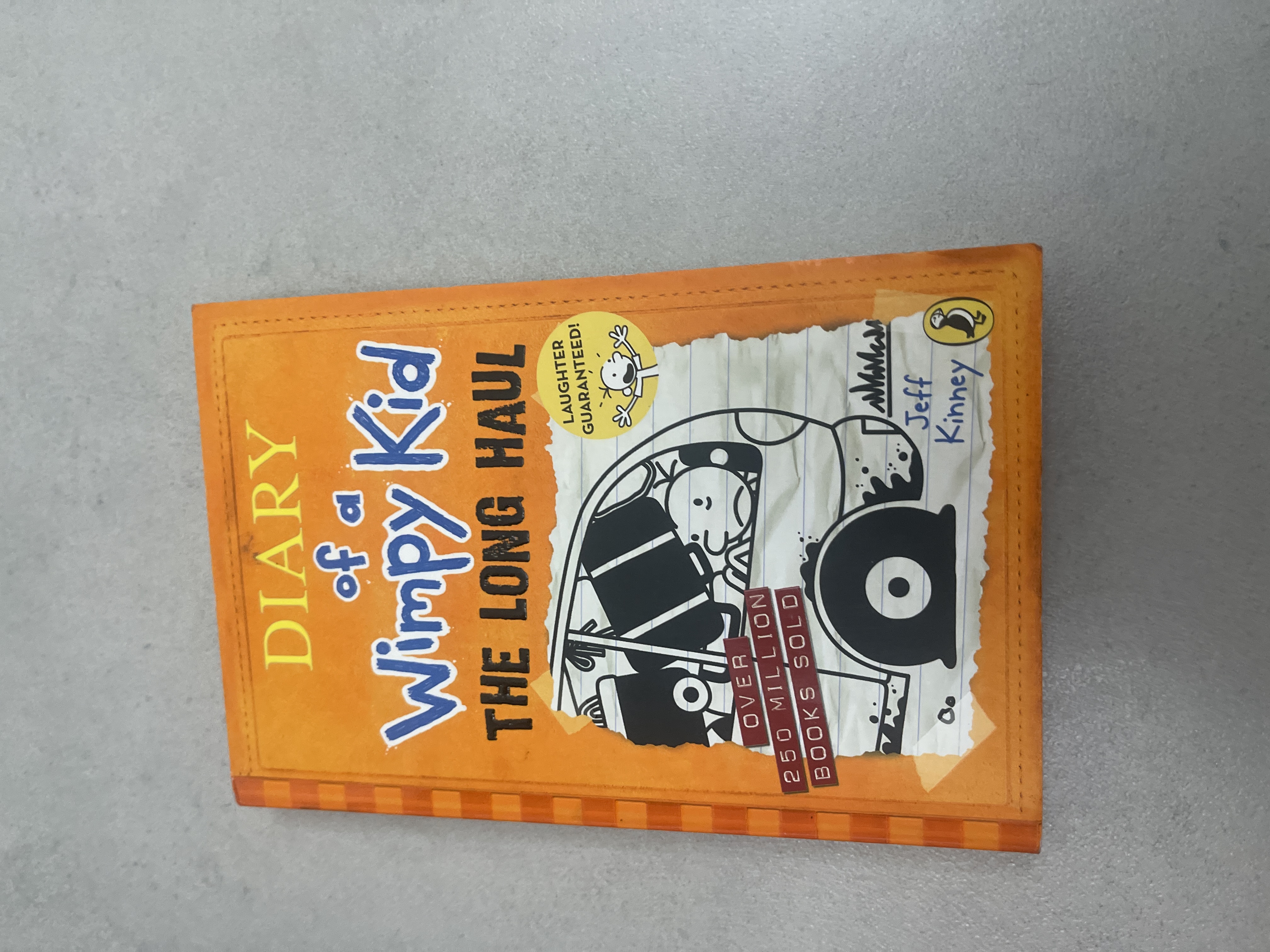 Diary of a Wimpy Kid: The Long Haul book cover